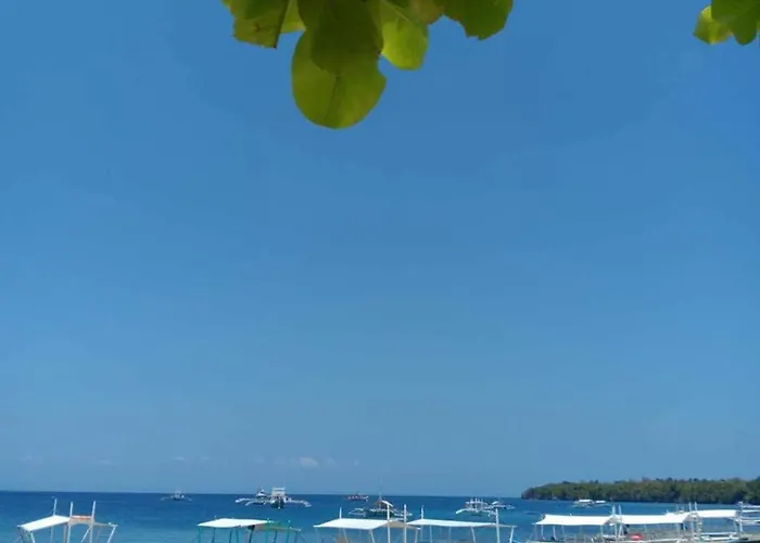 Turtles Place- Chay's * Esperanza